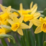 Spring has Sprung!