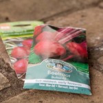 Time to sow some seeds