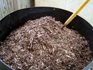 Backyard Composting