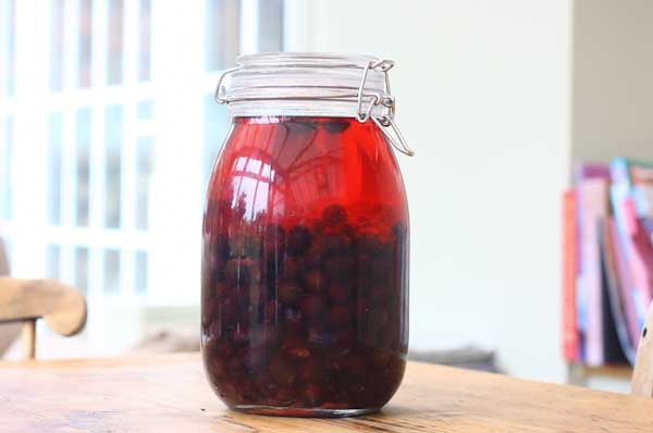 Sloe Gin Recipe