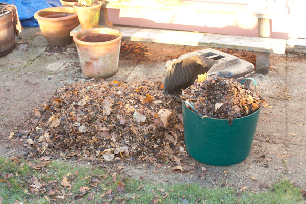 Speeding Up Leaf Mold