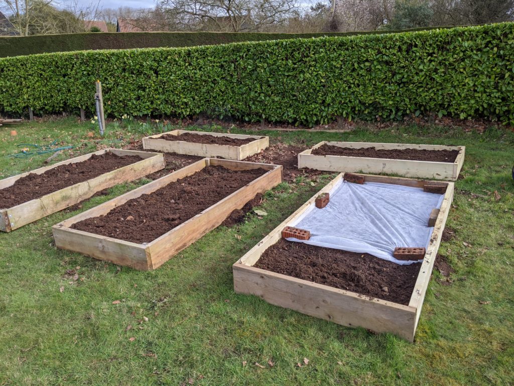 Raised Beds,Veg,